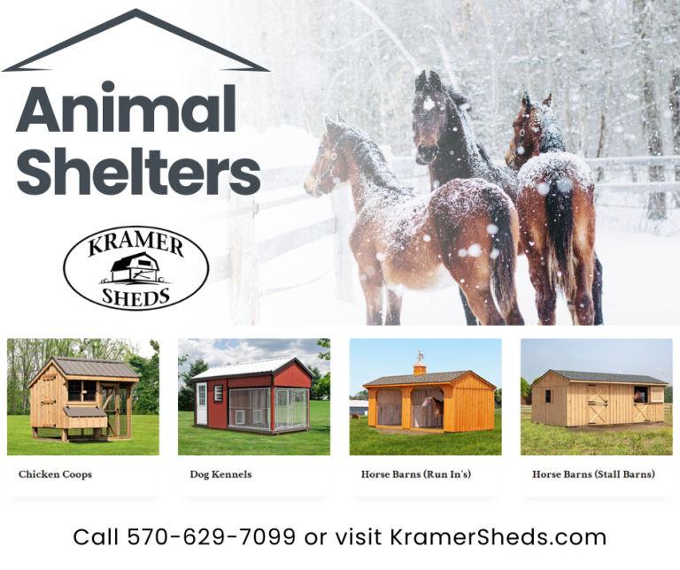 Winter is here for sure