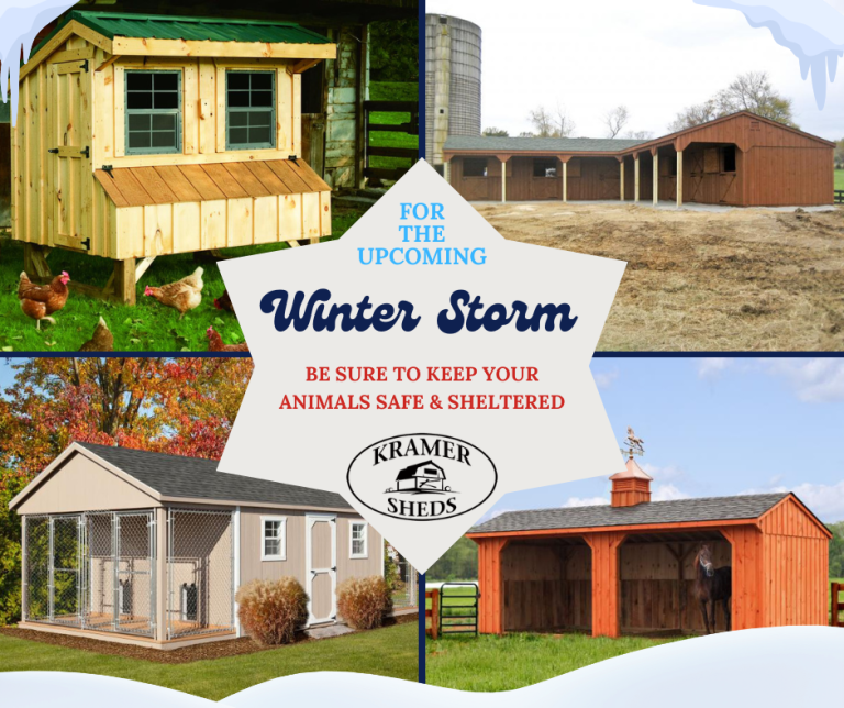 Pet and Animal Shelter during a storm