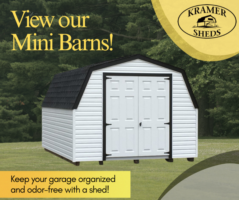 Check out our Mini Barn Sheds